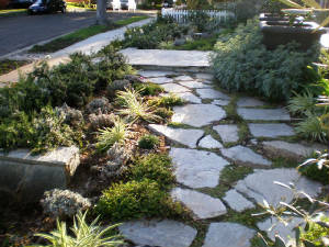 Flagstone PathP2090173.JPG