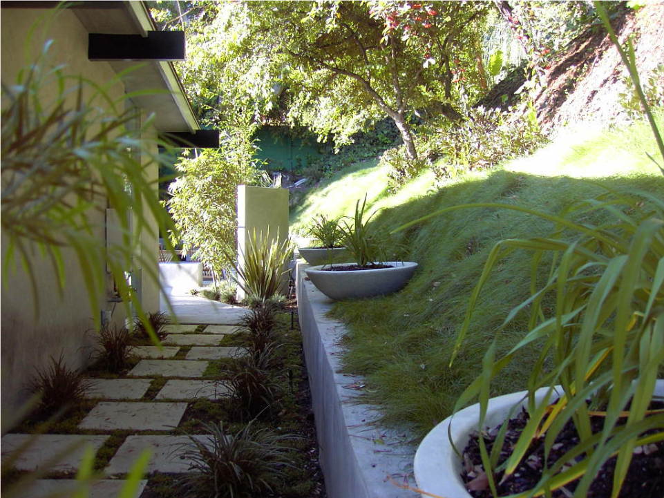 Image025wp1.jpg