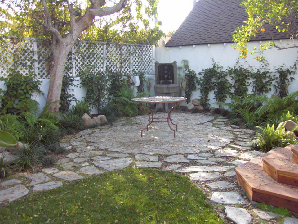 Image0455wp1.jpg
